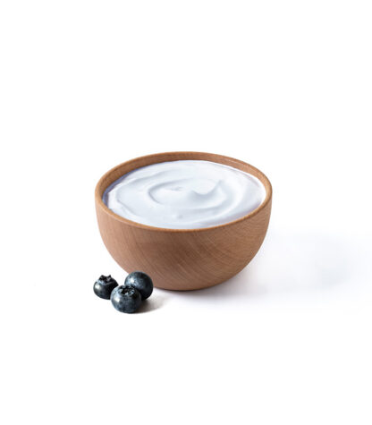Yogurt Blueberry